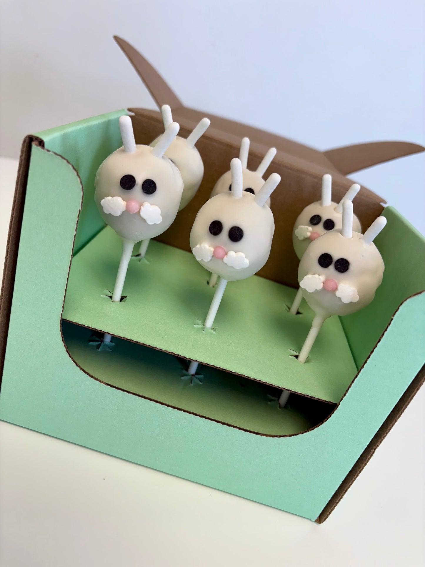 Bunny Cake Pop Kit